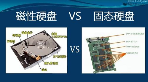 計算機(jī)系統(tǒng)組成概述 從部件到集成的智慧網(wǎng)絡(luò)